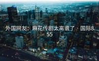 外国网友：麻花传剧太离谱了 · 国际855