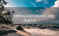 文化长河里的妈妈说今晚爸爸不回家 · 历史228