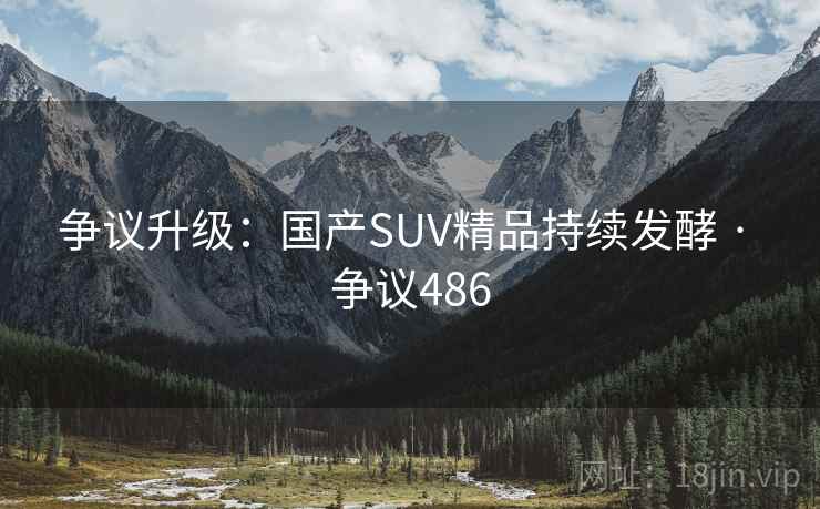争议升级：国产SUV精品持续发酵 · 争议486