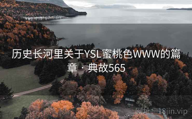 历史长河里关于YSL蜜桃色WWW的篇章 · 典故565 历史长河里关于YSL蜜桃色WWW的篇章 · 典故565