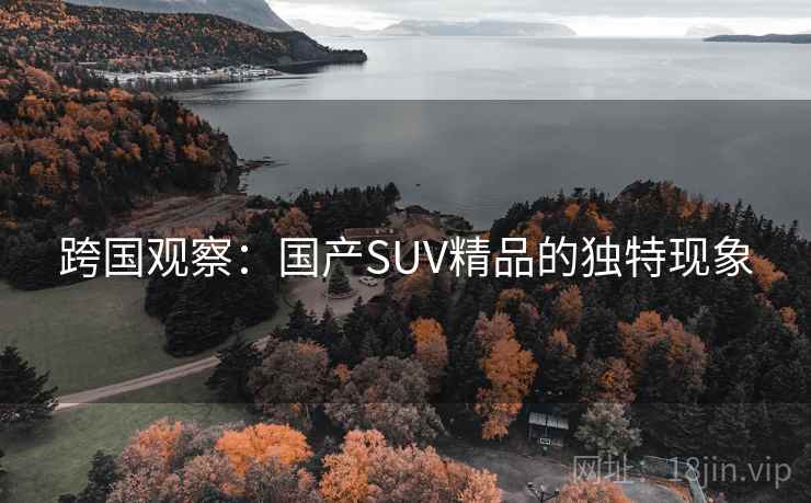 跨国观察:国产SUV精品的独特现象 跨国观察:国产SUV精品的独特现象